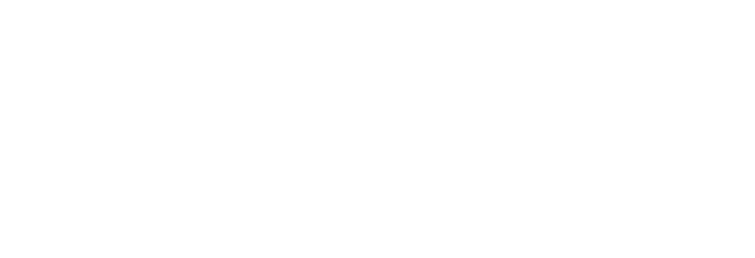 Frida Group
